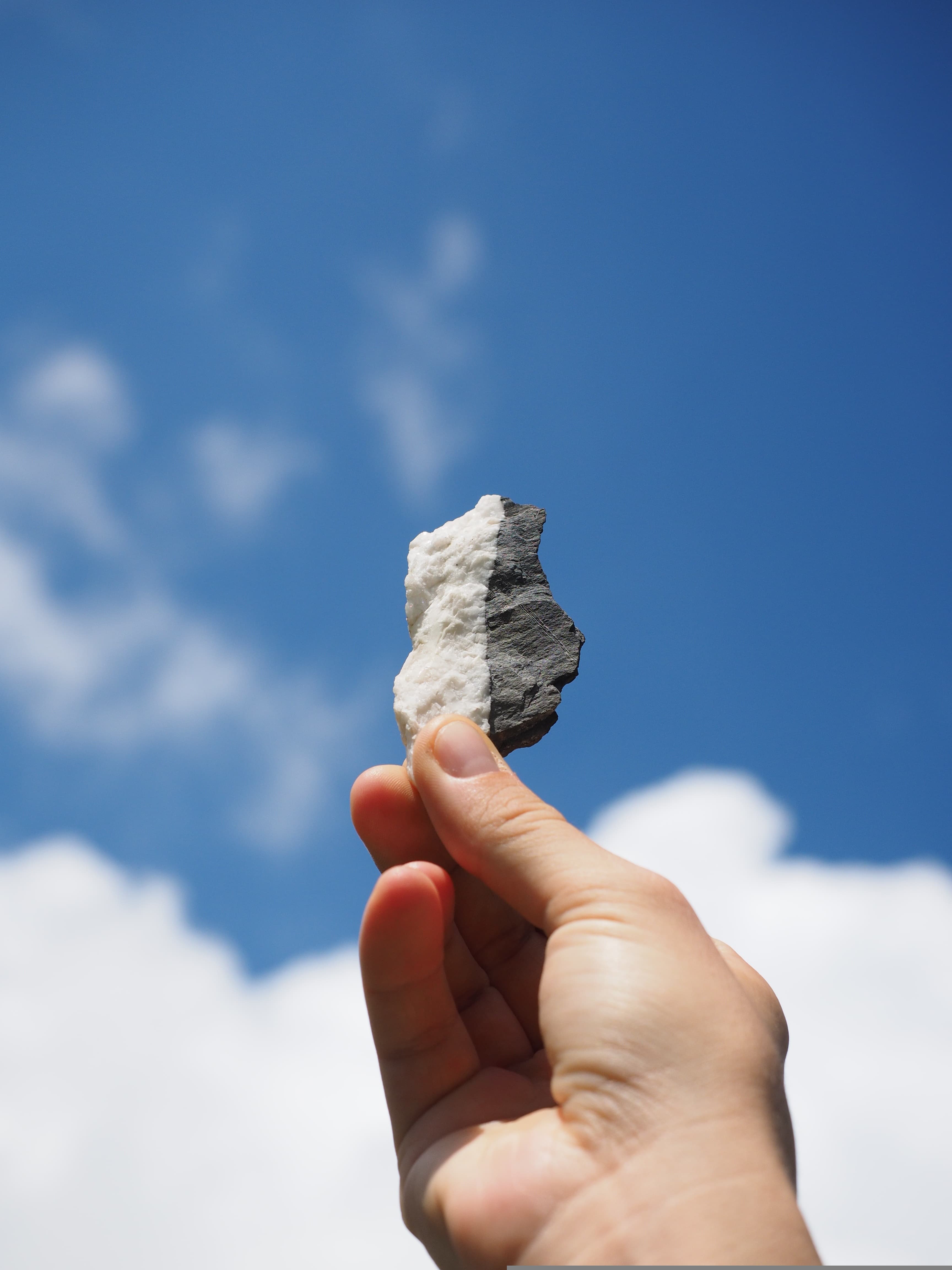A close-up of a stone pathway in a garden setting